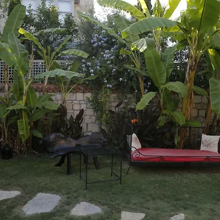 מלון Mandalina אלאקאטי