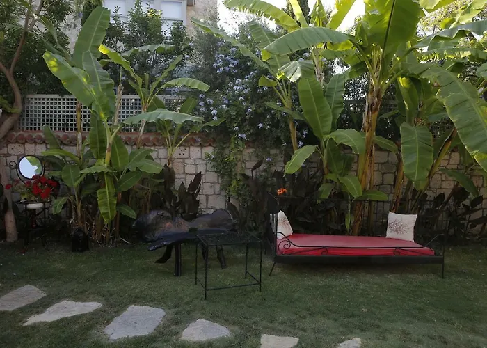 酒店 Mandalina 阿拉恰特